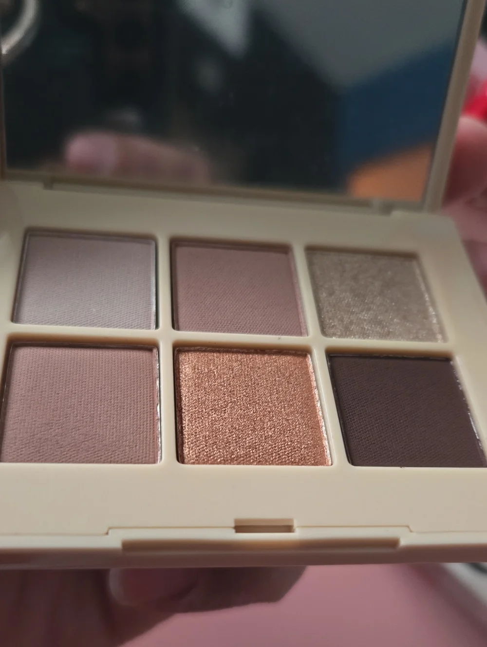 DIBS the Palm Palette Eyeshadow